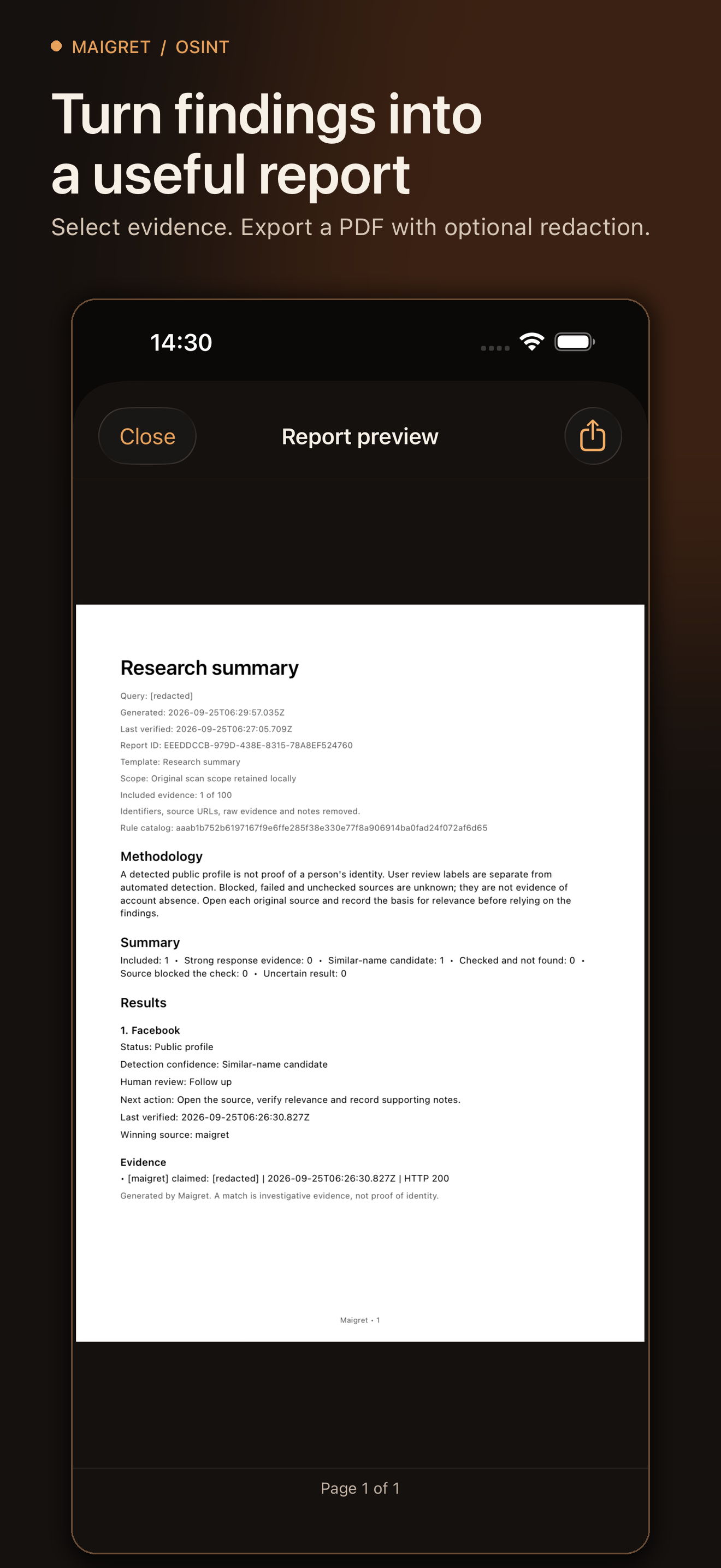 Maigret 3.1 App Store artwork showing a PDF report preview